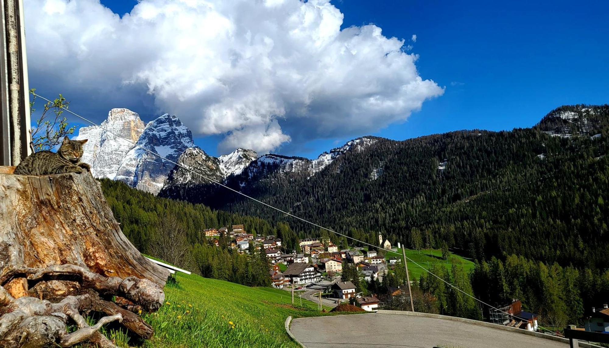 Hotel Garni Ongaro Selva di Cadore Exterior foto